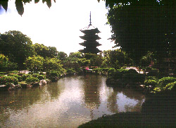 Toji Pagoda in Kyoto