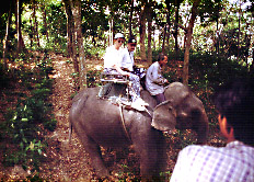 elephant meets elephant