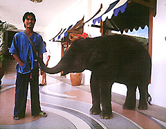 dumpy w/mahout