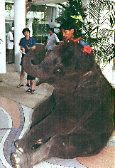 dumpy greets guests